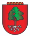 brasaooliveiralima