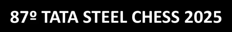tatasteel25texto
